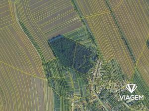 Prodej podílu lesa, Březolupy, 303 m2