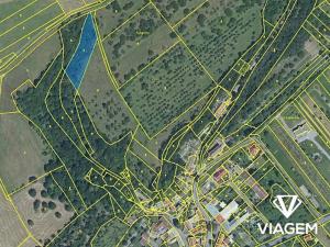 Prodej podílu pole, Veselíčko, 682 m2