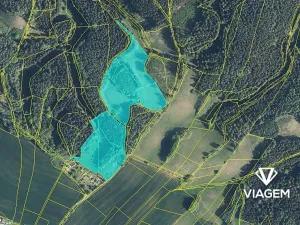 Prodej podílu pole, Borovnička, 3072 m2