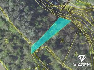 Prodej lesa, Pašinka, 606 m2