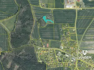 Prodej podílu lesa, Lipová, 2049 m2