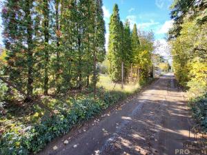 Prodej zahrady, Brno, 1316 m2