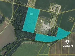 Prodej podílu lesa, Břežany, 7363 m2