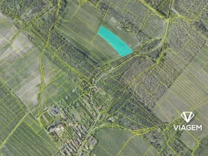 Prodej podílu pole, Horušice, 2336 m2