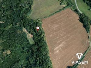 Prodej podílu lesa, Fulnek, 1868 m2