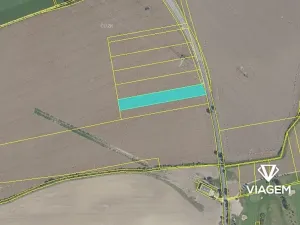 Prodej podílu pole, Zápy, 2001 m2