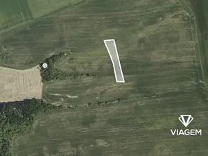 Prodej podílu pole, Dobříč, 328 m2
