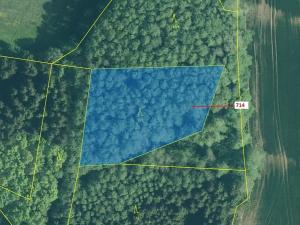 Dražba lesa, Kuřimany, 2850 m2