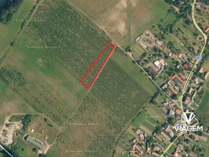 Prodej podílu pole, Horušice, 918 m2