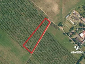 Prodej podílu pole, Horušice, 918 m2