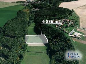 Prodej podílu pole, Řepníky, 2285 m2