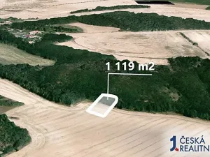 Prodej pole, Džbánice, 1119 m2