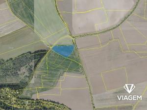 Prodej podílu pole, Radějovice, 3571 m2