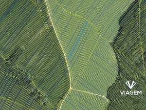 Prodej podílu pole, Mistřice, 401 m2