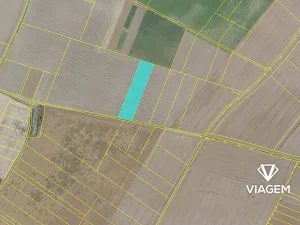 Prodej podílu pole, Sluhy, 2137 m2