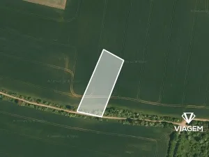 Prodej podílu pole, Jeviněves, 727 m2
