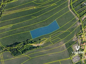 Prodej pole, Březůvky, 8260 m2
