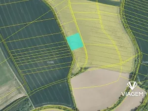 Prodej podílu pole, Zdounky, 426 m2