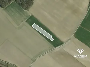 Prodej podílu pole, Velký Borek, 948 m2