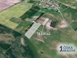 Prodej podílu pole, Horušice, 2895 m2