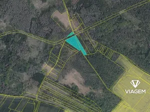 Prodej lesa, Račice, 5005 m2