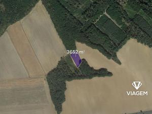 Prodej podílu pole, Horšovský Týn, 304 m2