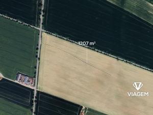 Prodej podílu pole, Sebranice, 301 m2