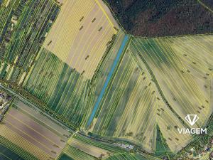 Prodej podílu pole, Lovčice, 702 m2