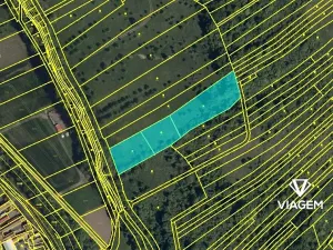 Prodej podílu pole, Javorník, 6351 m2