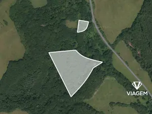 Prodej lesa, Doubravy, 22389 m2