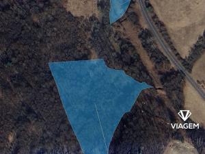 Prodej lesa, Doubravy, 22389 m2