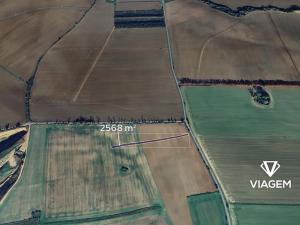 Prodej podílu pole, Boršice, 642 m2