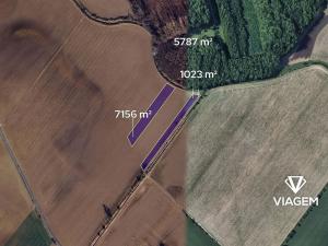 Prodej podílu pole, Střížovice, 1163 m2