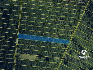 Prodej podílu lesa, Brno, 2941 m2