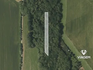 Prodej podílu lesa, Stěbořice, 1111 m2