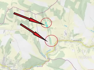 Prodej lesa, Košťálov, 5619 m2