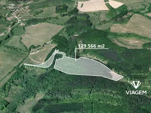 Prodej podílu lesa, Bojkovice, 647 m2