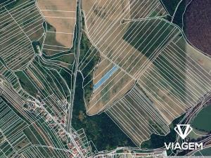 Prodej podílu pole, Pašovice, 590 m2