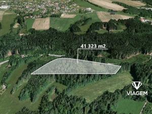 Prodej lesa, Loužnice, 41323 m2