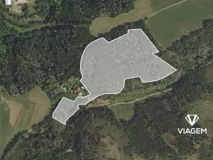 Prodej podílu lesa, Letovice, 1470 m2