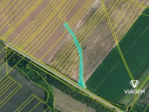 Prodej podílu lesa, Tulešice, 3694 m2