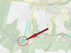 Prodej lesa, Těškovice, 5485 m2