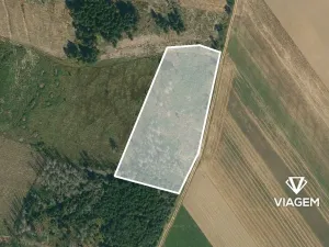 Prodej podílu lesa, Radkovice u Budče, 13191 m2