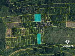 Prodej podílu lesa, Radkovice u Budče, 13191 m2