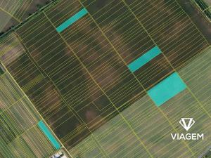 Prodej podílu pole, Hrušky, 1415 m2