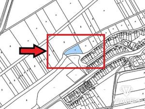 Prodej podílu lesa, Brod nad Dyjí, 644 m2