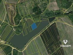 Prodej rybníku, Bánov, 4849 m2