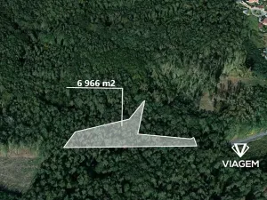 Prodej podílu lesa, Dašice, 3483 m2