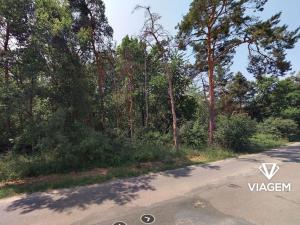 Prodej lesa, Křenek, 2867 m2