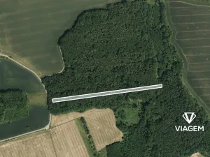 Prodej podílu lesa, Ostrožská Lhota, 978 m2